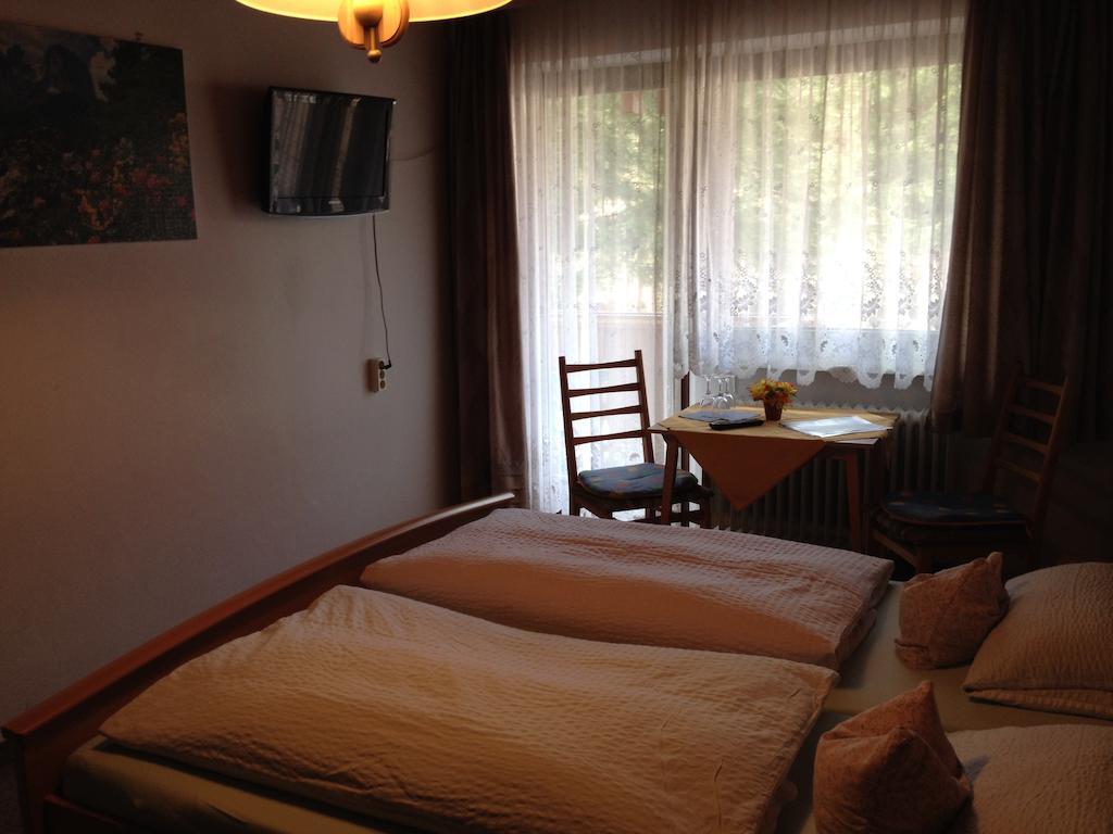Gasthaus Pension Sternknoeckel Bodenmais Room photo