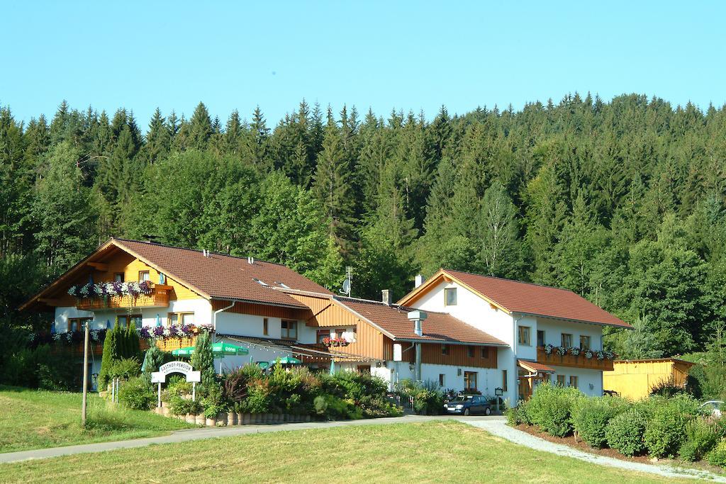 Gasthaus Pension Sternknoeckel Bodenmais Exterior photo