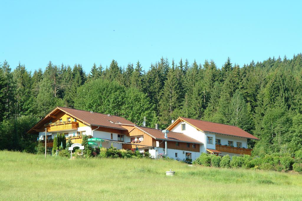 Gasthaus Pension Sternknoeckel Bodenmais Exterior photo